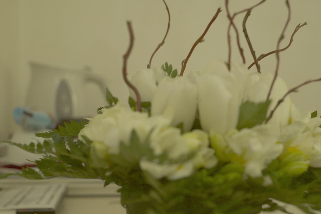 Locanda Navona Róma Kültér fotó
